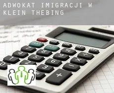Adwokat imigracji w  Klein Thebing