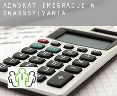 Adwokat imigracji w  Swannsylvania