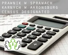 Prawnik w sprawach karnych w  Aaronsburg