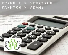 Prawnik w sprawach karnych w  Adams