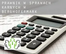 Prawnik w sprawach karnych w  Berghofermark