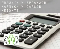 Prawnik w sprawach karnych w  Carson Heights