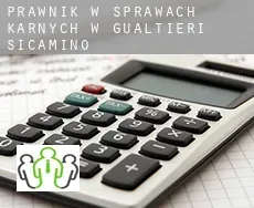 Prawnik w sprawach karnych w  Gualtieri Sicaminò