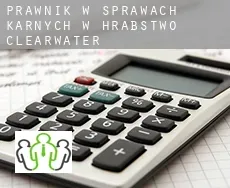 Prawnik w sprawach karnych w  Hrabstwo Clearwater