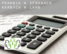 Prawnik w sprawach karnych w  Lawn