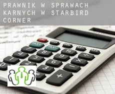Prawnik w sprawach karnych w  Starbird Corner