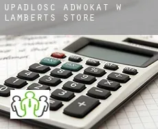 Upadłość adwokat w  Lamberts Store
