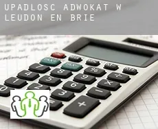 Upadłość adwokat w  Leudon-en-Brie
