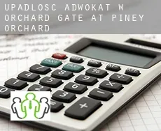 Upadłość adwokat w  Orchard Gate at Piney Orchard