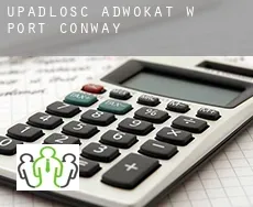 Upadłość adwokat w  Port Conway