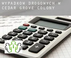 Wypadków drogowych w Cedar Grove Colony