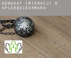 Adwokat imigracji w  Aplerbeckermark