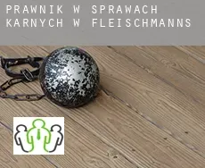 Prawnik w sprawach karnych w  Fleischmanns