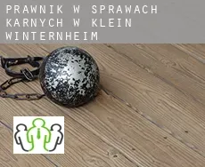 Prawnik w sprawach karnych w  Klein-Winternheim