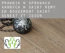 Prawnik w sprawach karnych w  Saint-Remy-en-Bouzemont-Saint-Genest-et-Isson