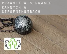 Prawnik w sprawach karnych w  Stegenthumbach