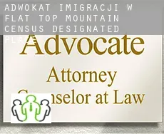 Adwokat imigracji w  Flat Top Mountain