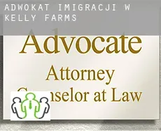 Adwokat imigracji w  Kelly Farms