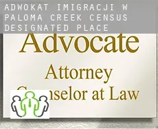 Adwokat imigracji w  Paloma Creek