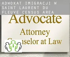 Adwokat imigracji w  Saint-Laurent-du-Fleuve (census area)