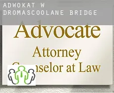 Adwokat w  Dromascoolane Bridge