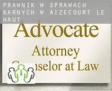 Prawnik w sprawach karnych w  Aizecourt-le-Haut