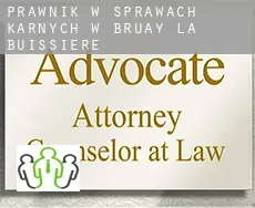 Prawnik w sprawach karnych w  Bruay-la-Buissière