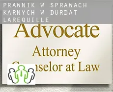 Prawnik w sprawach karnych w  Durdat-Larequille