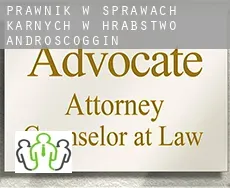 Prawnik w sprawach karnych w  Hrabstwo Androscoggin