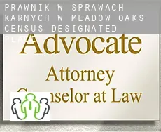 Prawnik w sprawach karnych w  Meadow Oaks