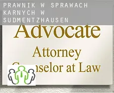 Prawnik w sprawach karnych w  Südmentzhausen