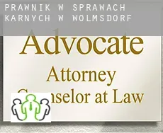 Prawnik w sprawach karnych w  Wölmsdorf