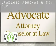 Upadłość adwokat w  Tin Cup