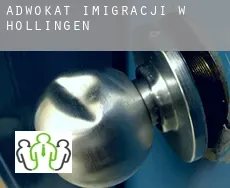 Adwokat imigracji w  Hollingen