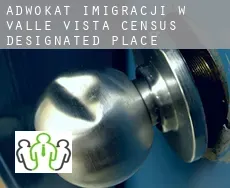 Adwokat imigracji w  Valle Vista