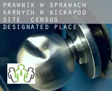 Prawnik w sprawach karnych w  Kickapoo Site 5