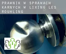 Prawnik w sprawach karnych w  Lixing-lès-Rouhling