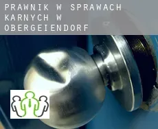 Prawnik w sprawach karnych w  Obergeißendorf