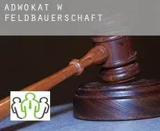 Adwokat w  Feldbauerschaft