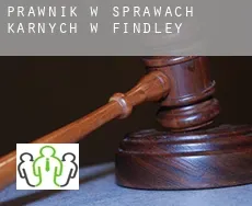 Prawnik w sprawach karnych w  Findley