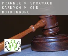 Prawnik w sprawach karnych w  Old Botkinburg