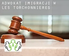 Adwokat imigracji w  Les Torchonnières
