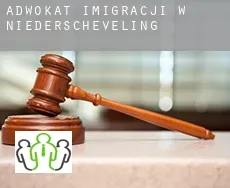 Adwokat imigracji w  Niederscheveling