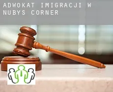 Adwokat imigracji w  Nubys Corner