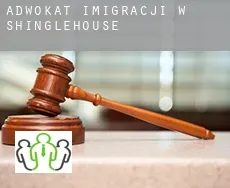 Adwokat imigracji w  Shinglehouse