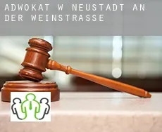 Adwokat w  Neustadt an der Weinstraße Stadt