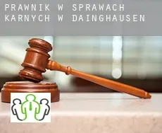 Prawnik w sprawach karnych w  Däinghausen