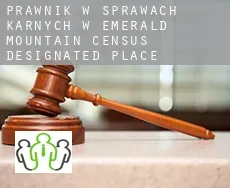 Prawnik w sprawach karnych w  Emerald Mountain