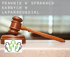 Prawnik w sprawach karnych w  Laparrouquial