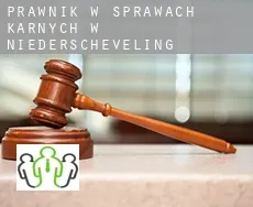 Prawnik w sprawach karnych w  Niederscheveling